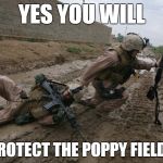 Soldier dragging soldier to protect poppy fields | YES YOU WILL; PROTECT THE POPPY FIELDS | image tagged in soldier,mud,dragging,poppy | made w/ Imgflip meme maker