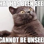 surprised cat | WHAT HAS BEEN SEEN... ... CANNOT BE UNSEEN... | image tagged in surprised cat | made w/ Imgflip meme maker