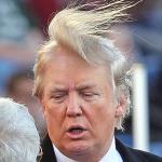 Trumps Hair: It's alive, it's alive! meme