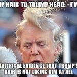 Trumps Hair: It's alive, it's alive! | TRUMP HAIR TO TRUMP HEAD: - I'M OUT. SATIRICAL EVIDENCE THAT TRUMP'S HAIR IS NOT LIKING HIM AT ALL | image tagged in trumps hair: it's alive it's alive! | made w/ Imgflip meme maker