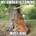 real horses | MY OWNER IS COMING; MUST HIDE | image tagged in real horses | made w/ Imgflip meme maker