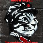 Communist Kity | Chairman Meow says... "In waking a cat, use an electric can opener." | image tagged in communist kity | made w/ Imgflip meme maker