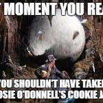 Indiana Jones Boulder | THAT MOMENT YOU REALIZE; YOU SHOULDN'T HAVE TAKEN ROSIE O'DONNELL'S COOKIE JAR | image tagged in indiana jones boulder,rosie o'donnell,cookies,angry feminist | made w/ Imgflip meme maker