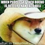 What in Tarnation | WHEN PEOPLE SAY TACO BUENO IS BETTER THAN TACO BELL | image tagged in what in tarnation | made w/ Imgflip meme maker