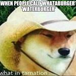 What in Tarnation | WHEN PEOPLE CALL 'WHATABURGER' 'WATERBURGER' | image tagged in what in tarnation | made w/ Imgflip meme maker