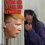 Donald trump here's Donny | LITTLE LIB LITTLE LIB; LET ME IN | image tagged in donald trump here's donny | made w/ Imgflip meme maker