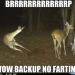 ghostly deer | BRRRRRRRRRRRRRP; WOW BACKUP NO FARTING | image tagged in ghostly deer | made w/ Imgflip meme maker
