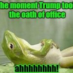 relaxed frog-life is good | The moment Trump took the oath of office; ahhhhhhhh! | image tagged in relax frog,memes | made w/ Imgflip meme maker