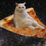 Pizza Cat meme