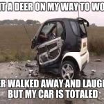 Smart Car Crash | I HIT A DEER ON MY WAY TO WORK DEER WALKED AWAY AND LAUGHED BUT MY CAR IS TOTALED | image tagged in smart car crash | made w/ Imgflip meme maker