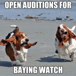 I'M TIRED OF WINTER!!! I propose that we have a Beach Week! | OPEN AUDITIONS FOR; BAYING WATCH | image tagged in basset hounds on the beach,memes,beach week | made w/ Imgflip meme maker
