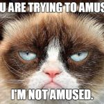 Grumpy Cat Not Amused Meme Generator - Imgflip