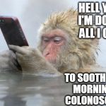 monkey mobile phone | HELL YES! I'M DOING ALL I CAN TO SOOTH THIS MORNING'S COLONOSCOPY | image tagged in monkey mobile phone | made w/ Imgflip meme maker