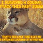 Cougars, ya gotta love 'em | I SURVIVED A COUGAR ATTACK THIS PAST SUMMER; THAT'S THE LAST TIME I LET MY WIFE CATCH ME LOOKING AT OTHER WOMEN. | image tagged in a cougar chillin,funny memes | made w/ Imgflip meme maker