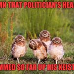 Owl side-eye | DAMN THAT POLITICIAN'S HEAD IS; RAMMED SO FAR UP HIS KEISTER! | image tagged in owl side-eye | made w/ Imgflip meme maker
