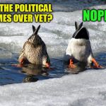 A Wakester Template | ARE THE POLITICAL MEMES OVER YET? NOPE! | image tagged in political meme,memes,wakester,new template,ducks,funny | made w/ Imgflip meme maker
