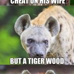 Bad Pun Hyena | A LION WOULD NEVER CHEAT ON HIS WIFE; BUT A TIGER WOOD | image tagged in bad pun hyena | made w/ Imgflip meme maker