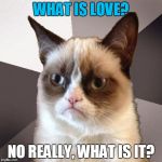 Grumpy Cat hears the music, but doesn't know the words | WHAT IS LOVE? NO REALLY, WHAT IS IT? | image tagged in musically malicious grumpy cat,grumpy cat,memes,singing,what is love,dun dun dun | made w/ Imgflip meme maker