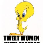 tweety | TWEET WOMEN WITH RESPECT | image tagged in tweety | made w/ Imgflip meme maker