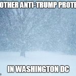 Blizzard | ANOTHER ANTI-TRUMP PROTEST; IN WASHINGTON DC | image tagged in blizzard | made w/ Imgflip meme maker