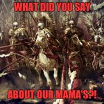 Winged Hussars | WHAT DID YOU SAY; ABOUT OUR MAMA'S?! | image tagged in winged hussars | made w/ Imgflip meme maker