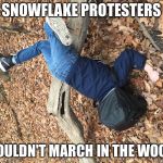 Face plant | SNOWFLAKE PROTESTERS; SHOULDN'T MARCH IN THE WOODS | image tagged in face plant | made w/ Imgflip meme maker
