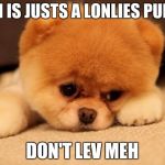 Sad puppy | BUT I IS JUSTS A LONLIES PUPPER; DON'T LEV MEH | image tagged in sad puppy | made w/ Imgflip meme maker