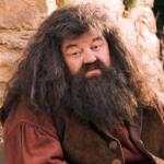 Hagrid meme