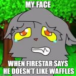 Firestar doesn't like waffles | MY FACE; WHEN FIRESTAR SAYS HE DOESN'T LIKE WAFFLES | image tagged in firestar doesn't like waffles | made w/ Imgflip meme maker