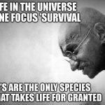 gandhi | ALL LIFE IN THE UNIVERSE HAS ONE FOCUS 'SURVIVAL; HUMAN'S ARE THE ONLY SPECIES OF LIFE' THAT TAKES LIFE FOR GRANTED | image tagged in gandhi | made w/ Imgflip meme maker