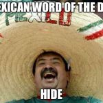 mexican | MEXICAN WORD OF THE DAY; HIDE | image tagged in mexican | made w/ Imgflip meme maker