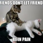 cat massage | FRIENDS DON'T LET FRIENDS; BE IN PAIN | image tagged in cat massage | made w/ Imgflip meme maker
