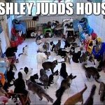 Crazy cat Lady | ASHLEY JUDDS HOUSE | image tagged in crazy cat lady | made w/ Imgflip meme maker