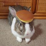 pancake bunny