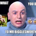 Dr Evil | YOU DID; LOOK WHAT; TO MR BIGGLESWORTH ! | image tagged in dr evil | made w/ Imgflip meme maker
