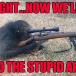 If this picture is real, it's time to be very afraid!!! | ALRIGHT...NOW WE'LL SEE; WHO THE STUPID APE IS | image tagged in sniper monkey,memes,monkey,funny,angry baboon,animals | made w/ Imgflip meme maker
