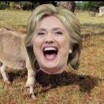Hillary Clinton The Donkey