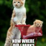 Kitty cat cart  | NOW WHERE DID I PARK? | image tagged in kitty cat cart,memes,cat | made w/ Imgflip meme maker