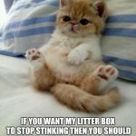 Advice cat | IF YOU WANT MY LITTER BOX TO STOP STINKING THEN YOU SHOULD GIVE ME BETTER SMELLING FOOD | image tagged in advice cat,fat,memes | made w/ Imgflip meme maker