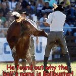 rodeo kick | He found out why the bull's name is Ballbuster! | image tagged in rodeo kick | made w/ Imgflip meme maker