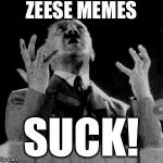 Hitler angry | ZEESE MEMES; SUCK! | image tagged in angry hitler,meme,memes,imgflip | made w/ Imgflip meme maker