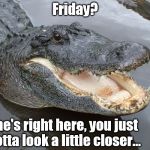 Friday? She's right here, you just gotta look a little closer... | image tagged in drain the swamp,tgif,friday | made w/ Imgflip meme maker