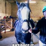 bomber the horse | SO YOU GOT A CAR; BUT DOES IT HAVE AUTOPILOT | image tagged in bomber the horse | made w/ Imgflip meme maker