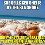 Selling sea shells by the sea shore | SHE SELLS SEA SHELLS BY THE SEA SHORE. SURELY THAT'S THE WORST PLACE TO TRY AND SELL SEA SHELLS ? | image tagged in sea shells,sea,beach,selling | made w/ Imgflip meme maker