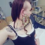 Snake in ear ball python