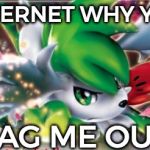 Shaymin Card | INTERNET WHY YOU; LAG ME OUT | image tagged in shaymin card | made w/ Imgflip meme maker