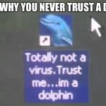 Dolphin virus. | THIS IS WHY YOU NEVER TRUST A DOLPHIN | image tagged in dolphin virus | made w/ Imgflip meme maker