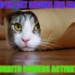 burrito cat | SUPER CAT SHOWS HIS FACE; BURRITO POWERS ACTIVATE | image tagged in burrito cat | made w/ Imgflip meme maker