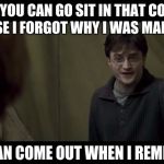 Harry Potter insulting Ron Weasley | RON, YOU CAN GO SIT IN THAT CORNER BECAUSE I FORGOT WHY I WAS MAD AT YOU; YOU CAN COME OUT WHEN I REMEMBER | image tagged in harry potter insulting ron weasley | made w/ Imgflip meme maker