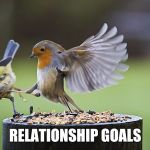 Kicking Sparrow | RELATIONSHIP GOALS | image tagged in kicking sparrow | made w/ Imgflip meme maker
